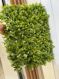 MUR VEGETAL 50*50 TUNISIE 