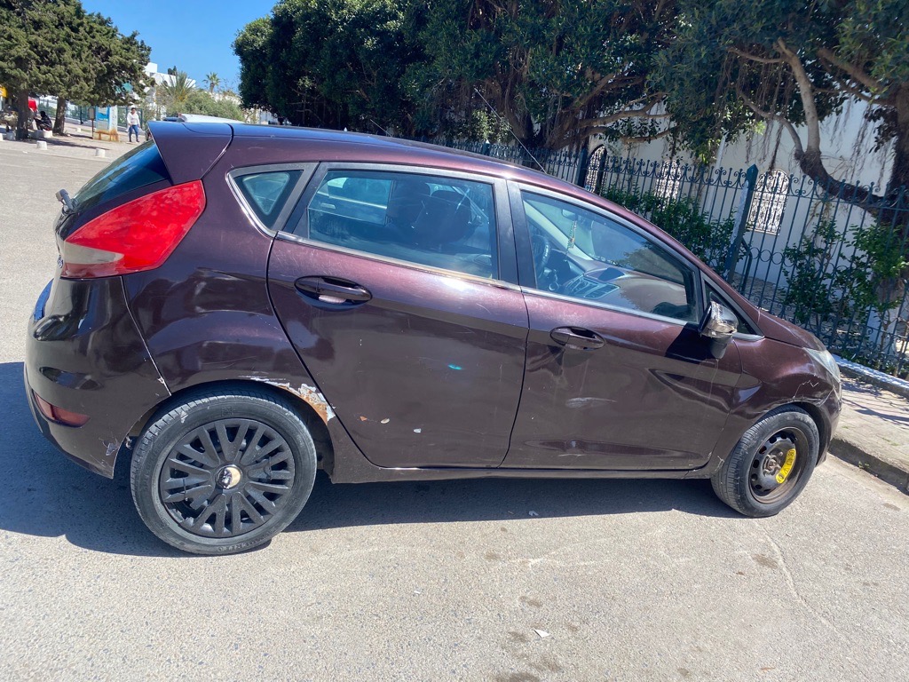 Ford Fiesta 2010