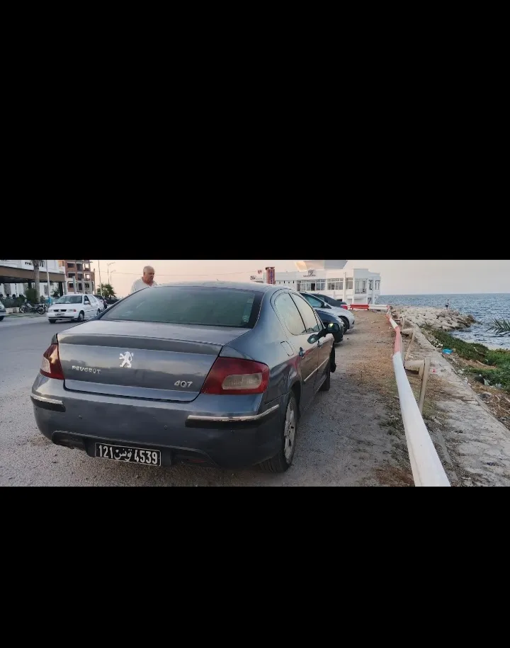 Peugeot 407