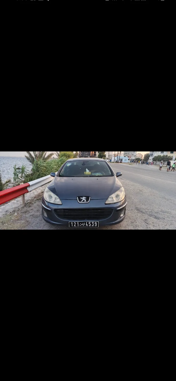 Peugeot 407