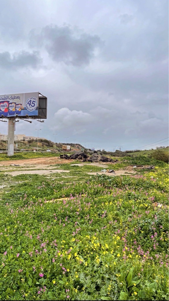 Terrains à vendre à Nahli, Ariana