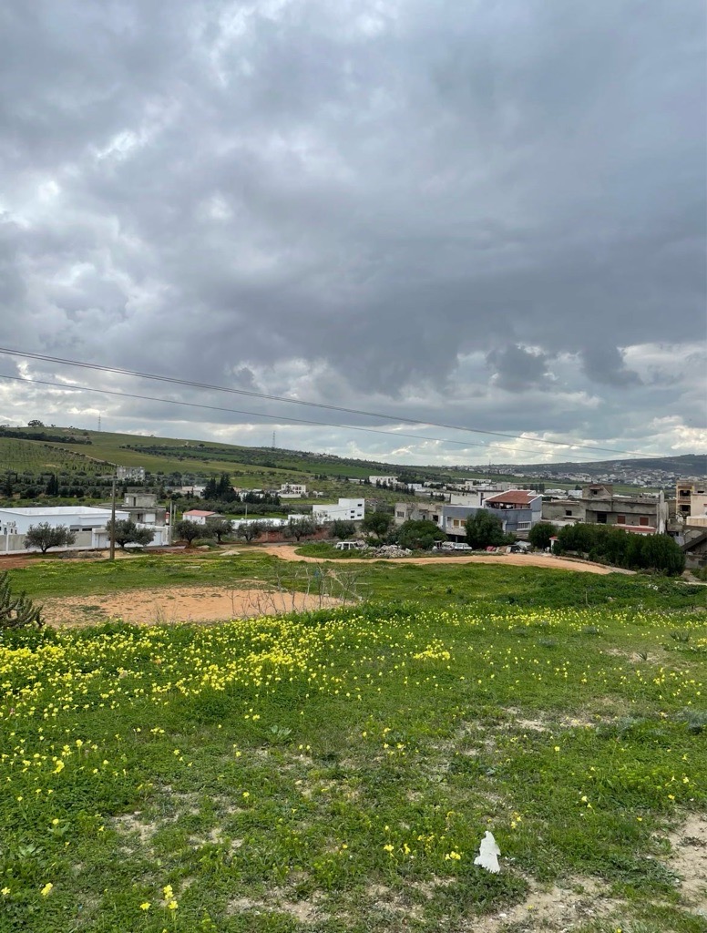 Terrains à vendre à Nahli, Ariana