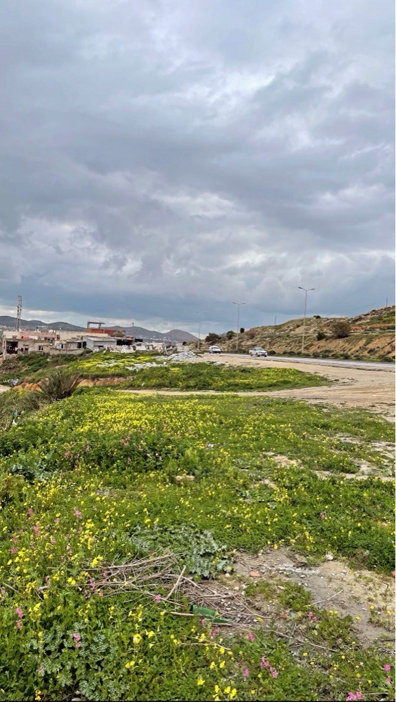 Terrains à vendre à Nahli, Ariana