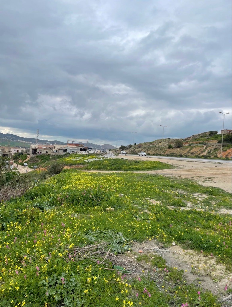 Terrains à vendre à Nahli, Ariana