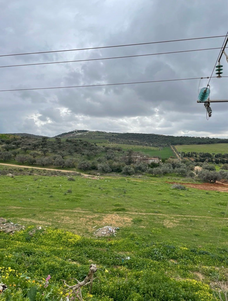 Terrains à vendre à Nahli, Ariana