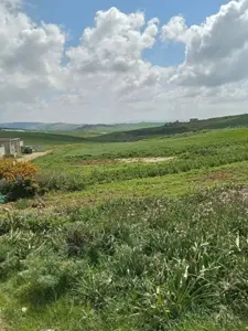 Terrain agricole à vendre
