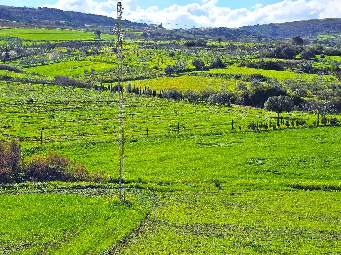 🌳 Terrain 530 m2 a Rafraf 🖼