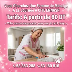 femme de menage par jour cite el nasir
