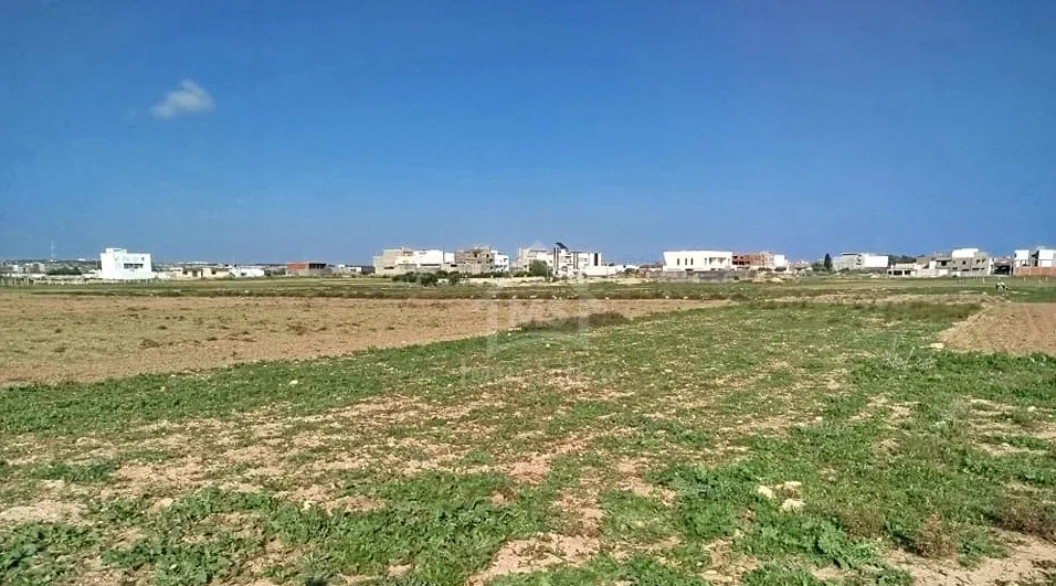 Un terrain de 669 m² à Maamoura à vendre 51355351