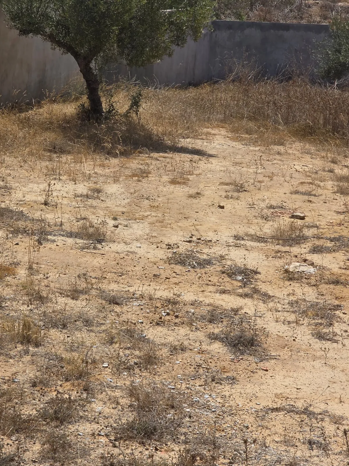 đ§Terrain Avec Vue MER En Vente | Rmila, Chott Mariem