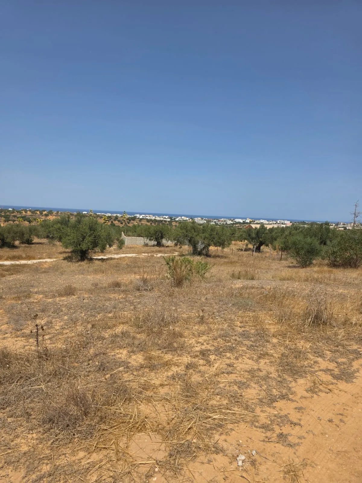 đ§Terrain Avec Vue MER En Vente | Rmila, Chott Mariem