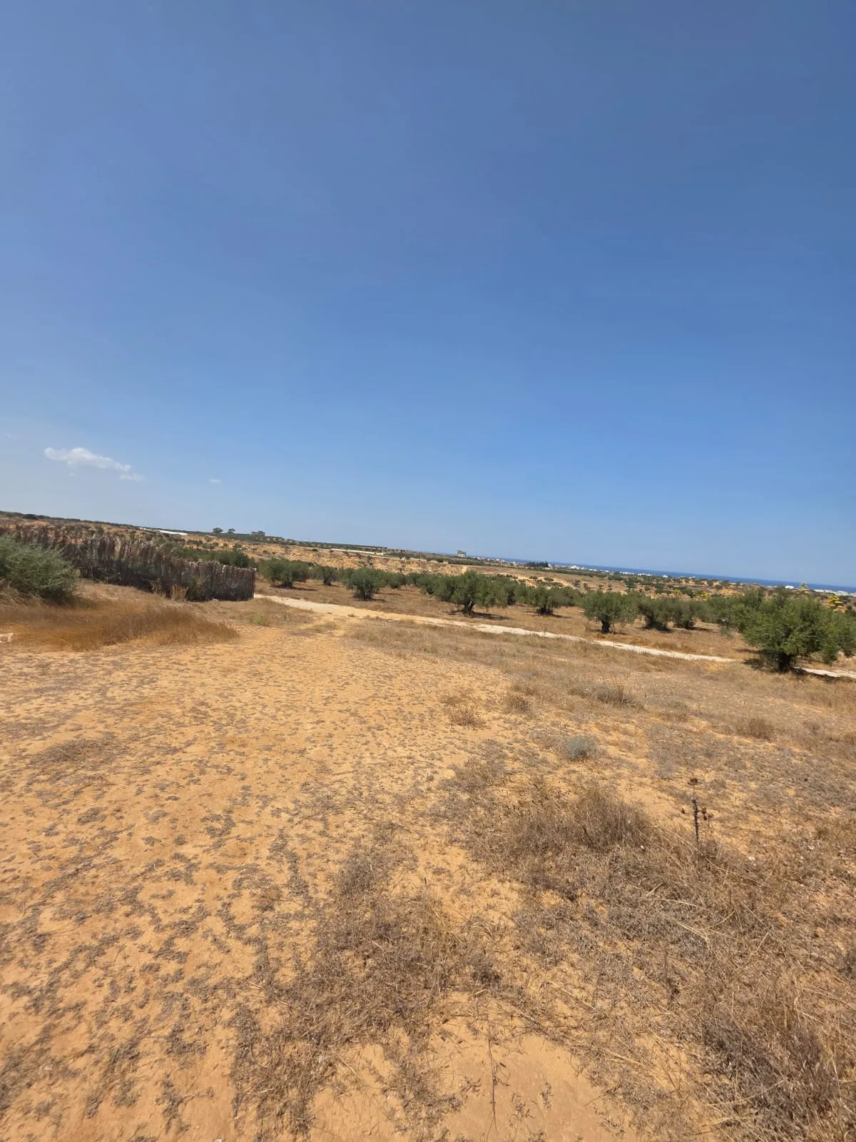 đ§Terrain Avec Vue MER En Vente | Rmila, Chott Mariem