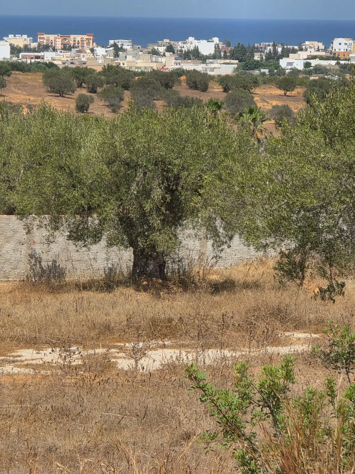 đ§Terrain Avec Vue MER En Vente | Rmila, Chott Mariem