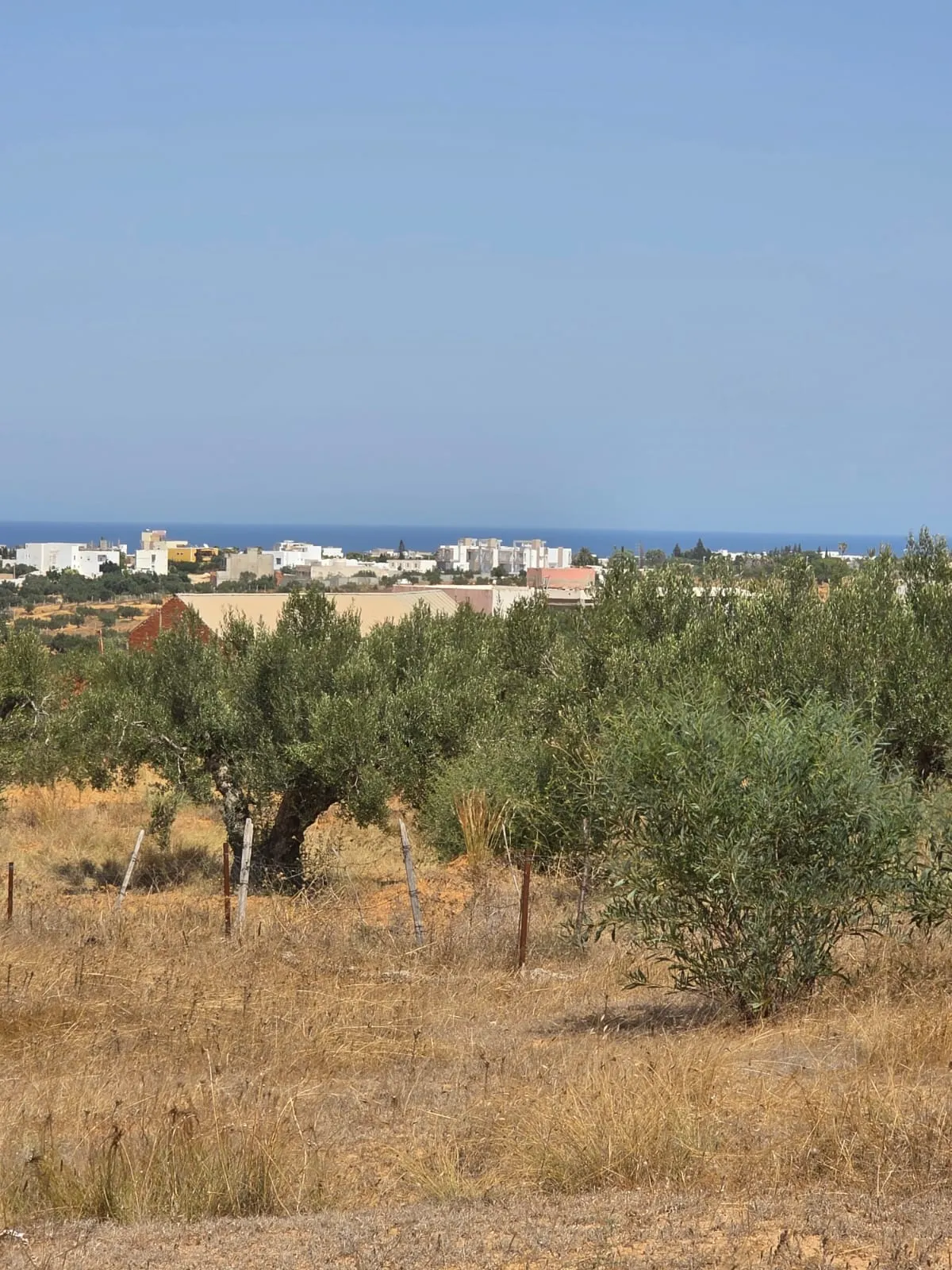 đ§Terrain Avec Vue MER En Vente | Rmila, Chott Mariem