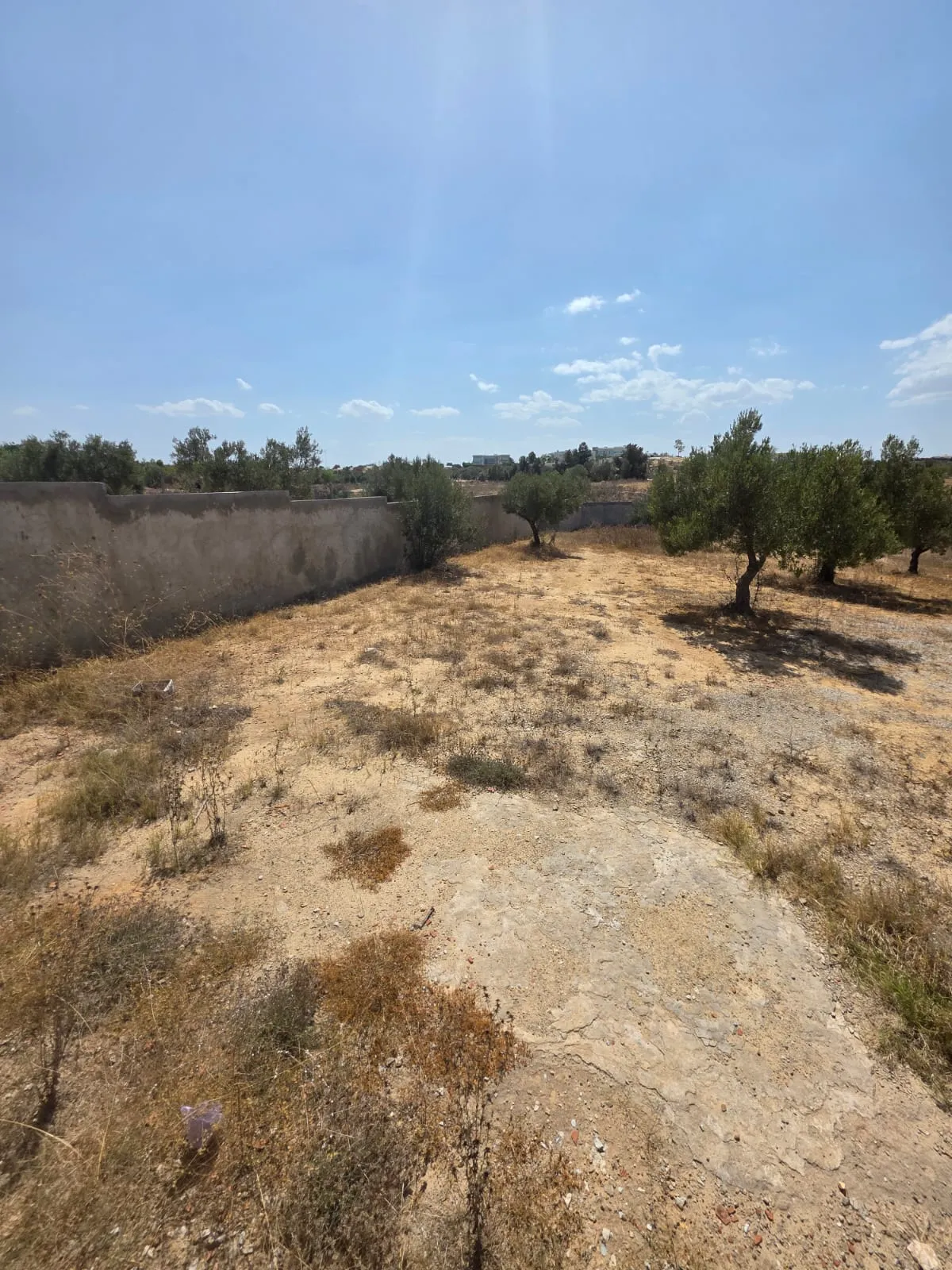 đ§Terrain Avec Vue MER En Vente | Rmila, Chott Mariem