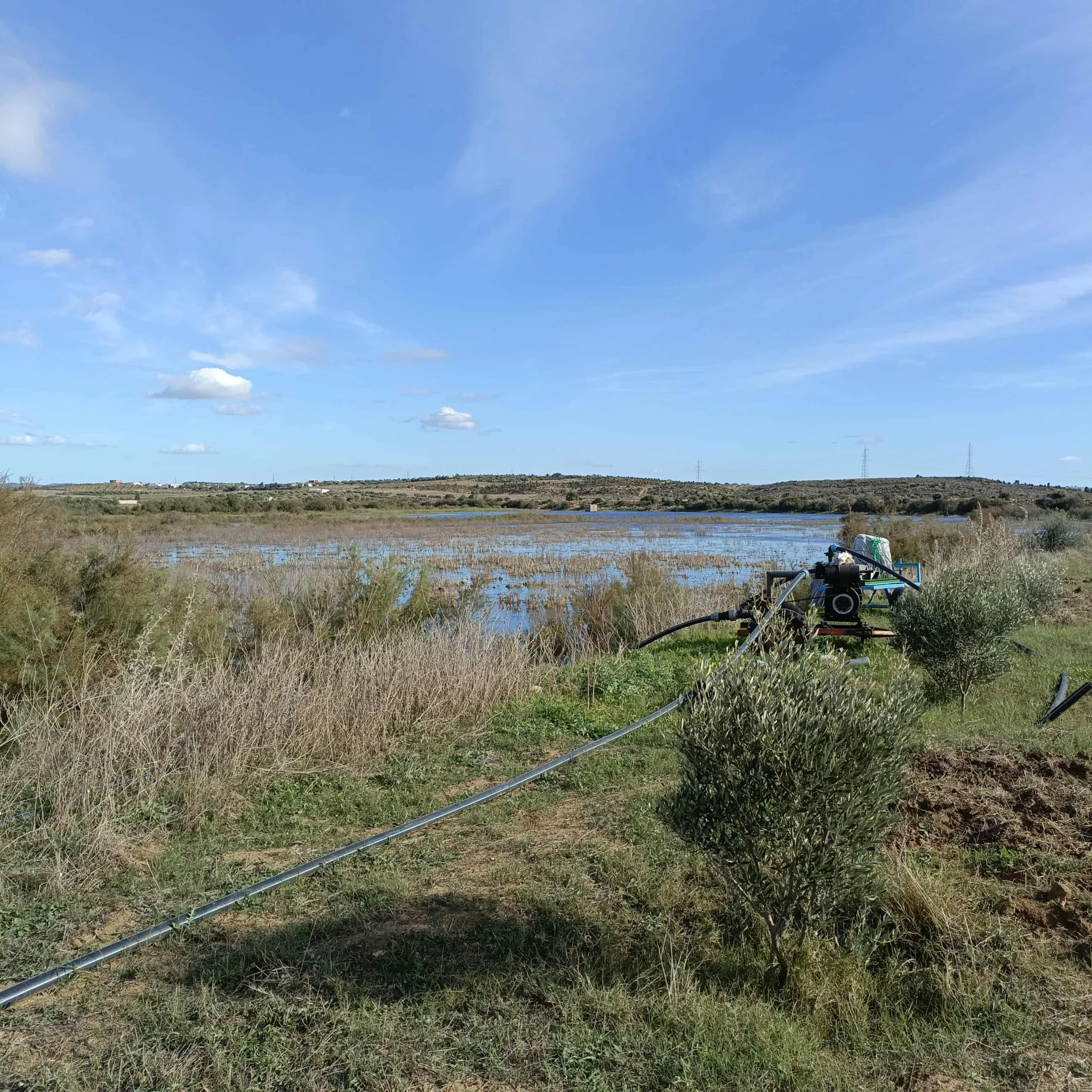 AV terrain de 1000m à Monchar Hammamet sud