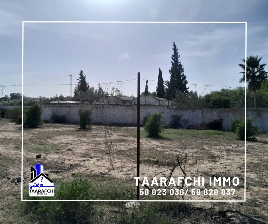Terrain Hammamet TH029 :