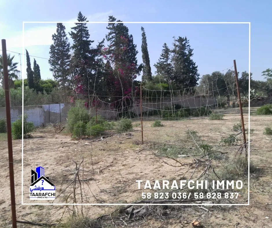 Terrain Hammamet TH029 :