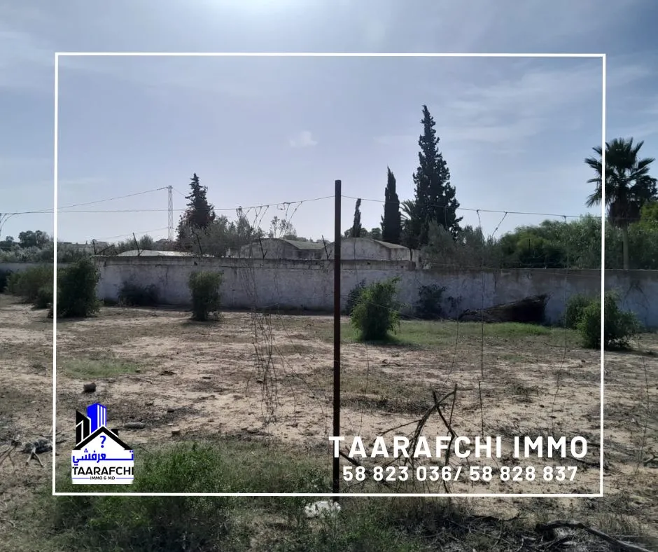 Terrain Hammamet TH029 :