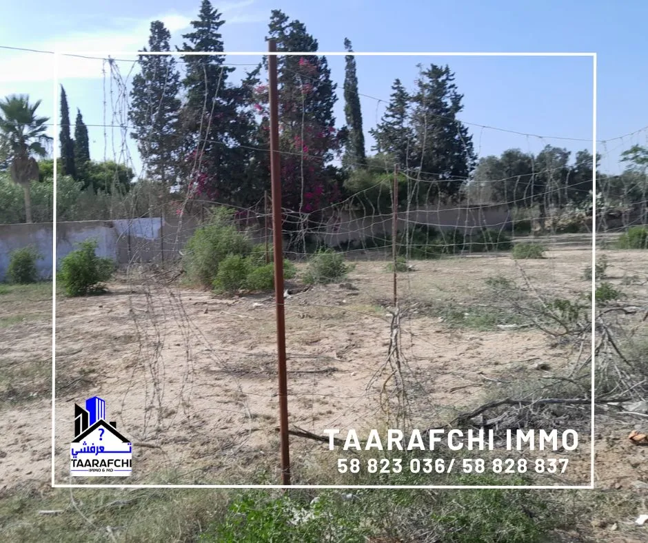 Terrain Hammamet TH029 :