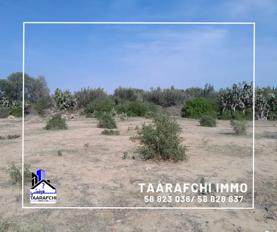 Terrain Hammamet TH029 :