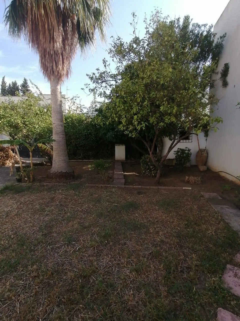 AL grand RDC villa le Bardo 1800dt