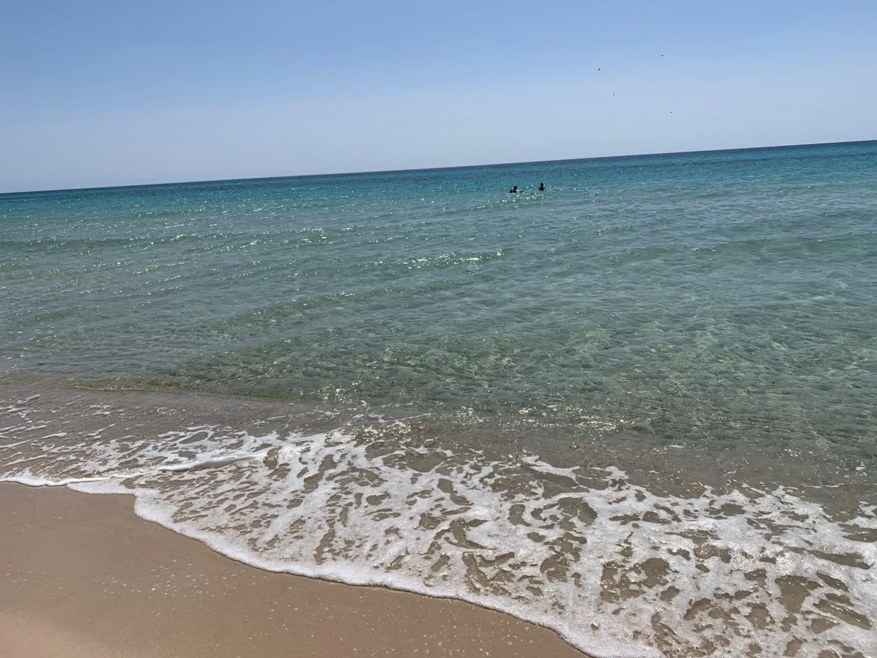 Terrain en bord de mer, offrant une vue panoramique