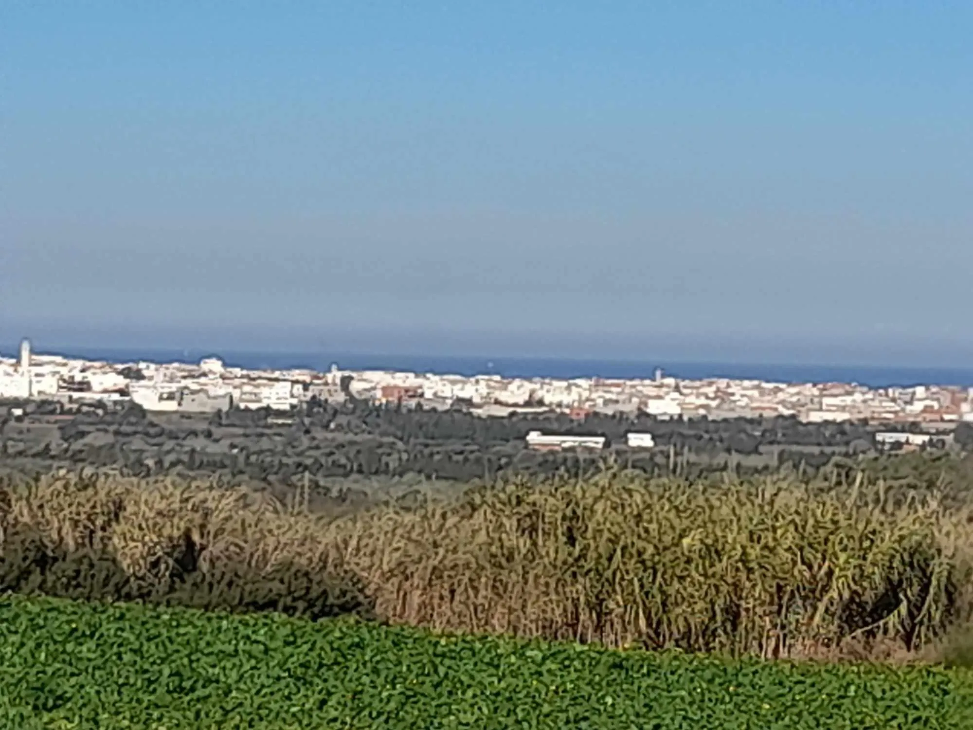 Terrain à vendre à  raf raf  de 2400 m².