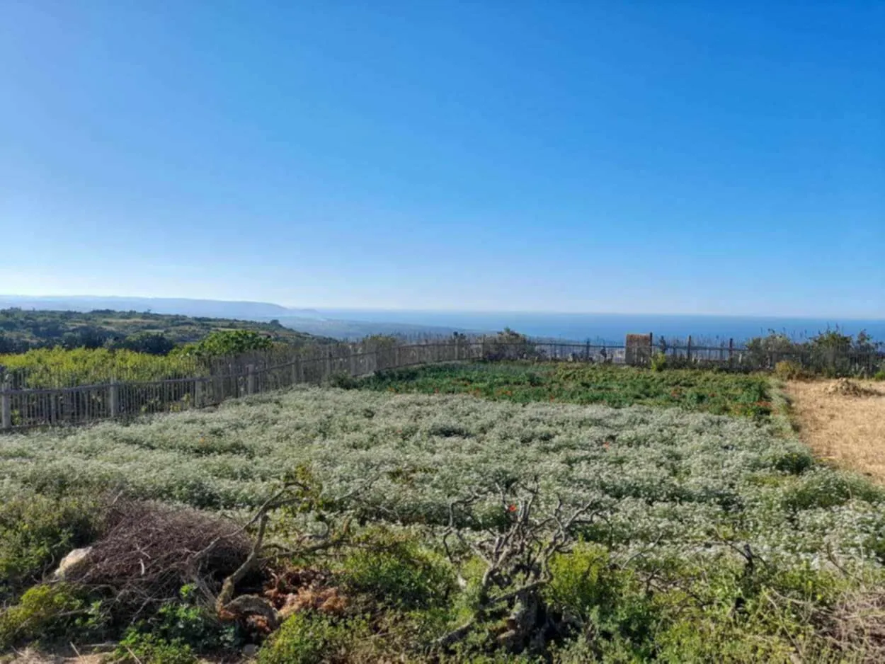 Terrain à vendre à  raf raf  de 2400 m².