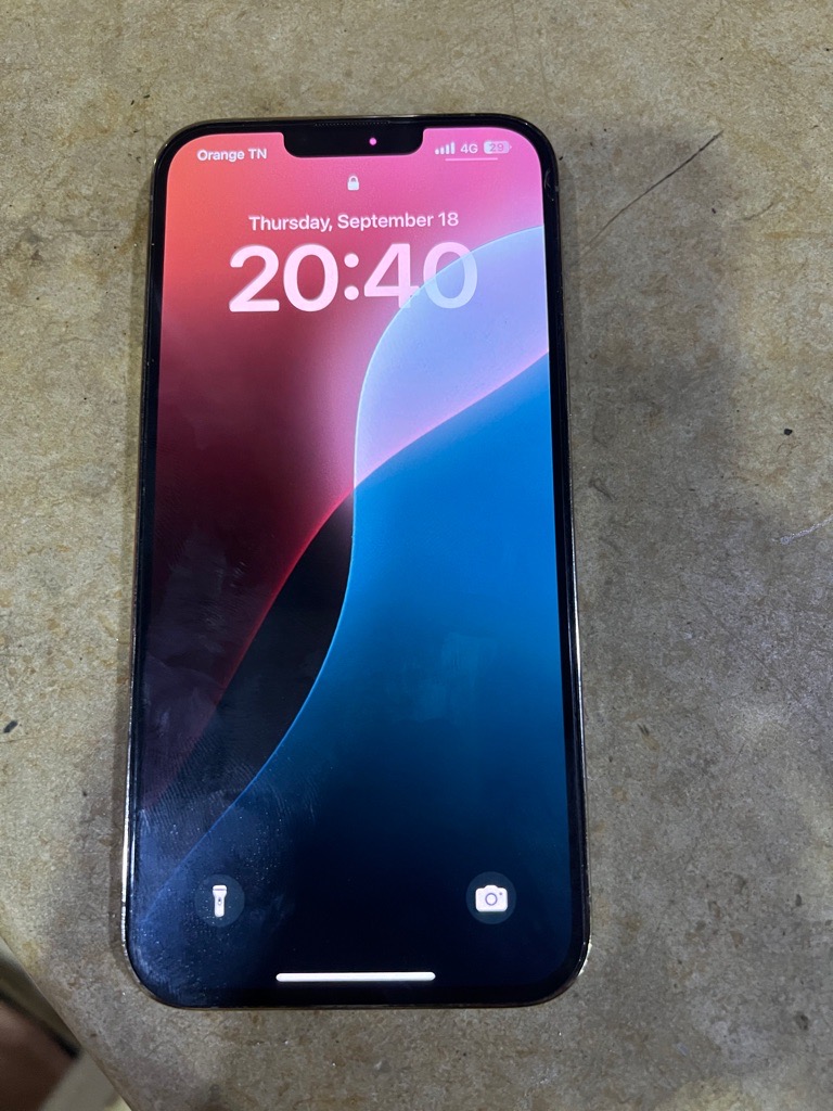 iPhone 13 Pro Max