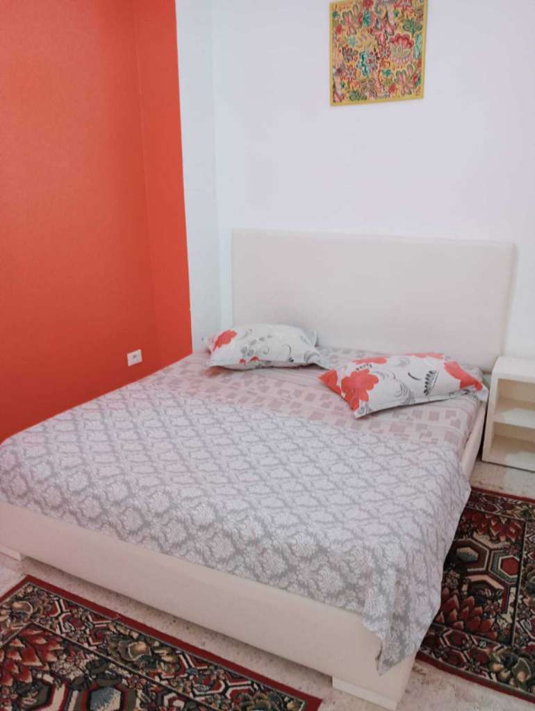 شقق مفروش آخر طراز في تونس العاصمة و العوينة 120