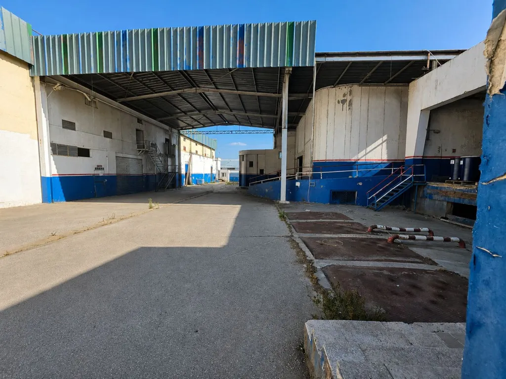 Usine 7 050 m² à Bir El Kassâa