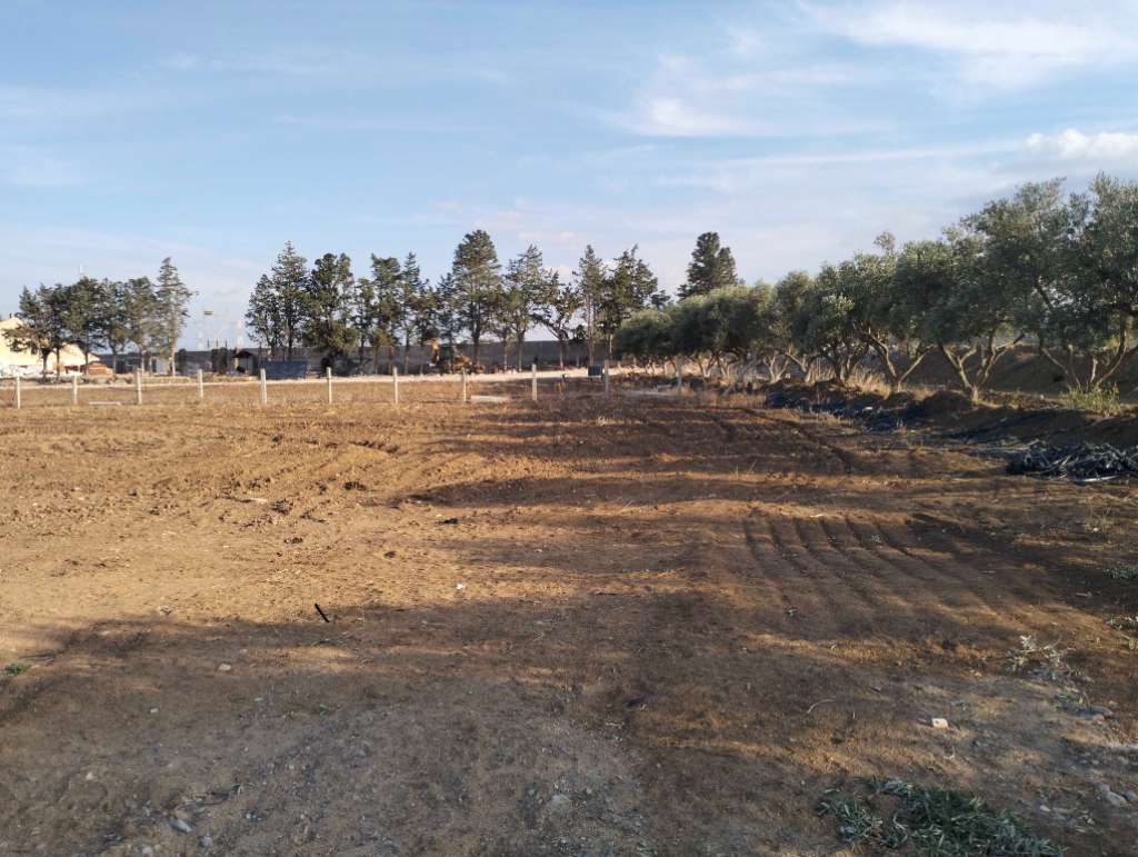 À vendre terrain situé a foundok Ejdid sur la route principale GP1 