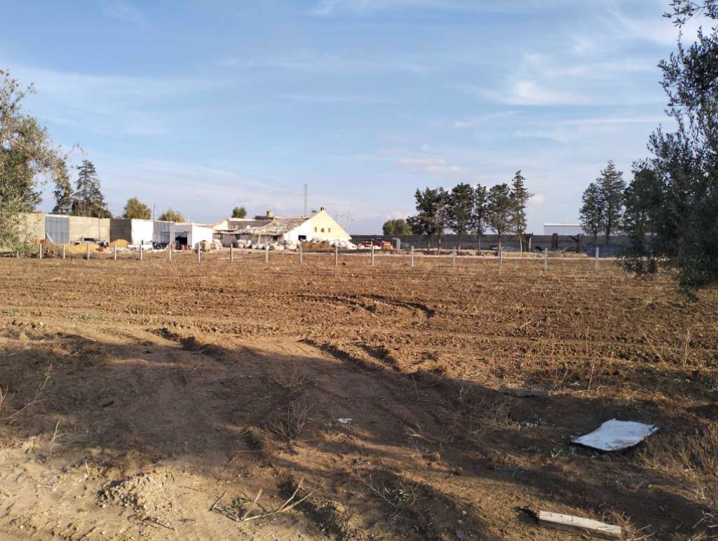 À vendre terrain situé a foundok Ejdid sur la route principale GP1 