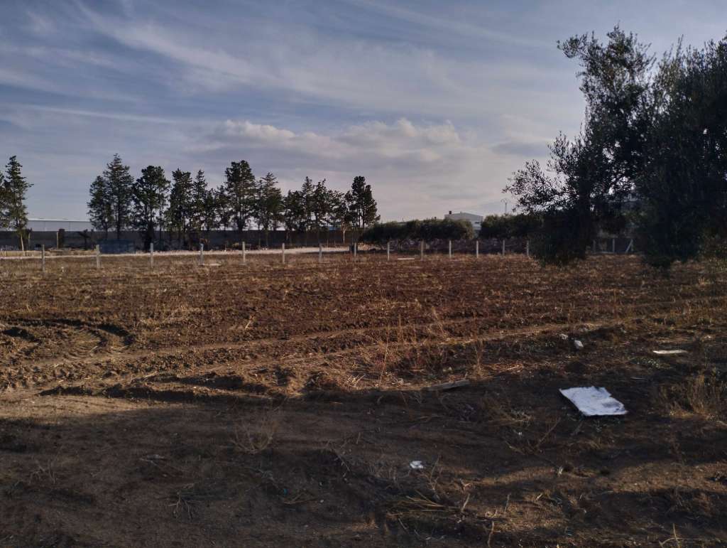 À vendre terrain situé a foundok Ejdid sur la route principale GP1 