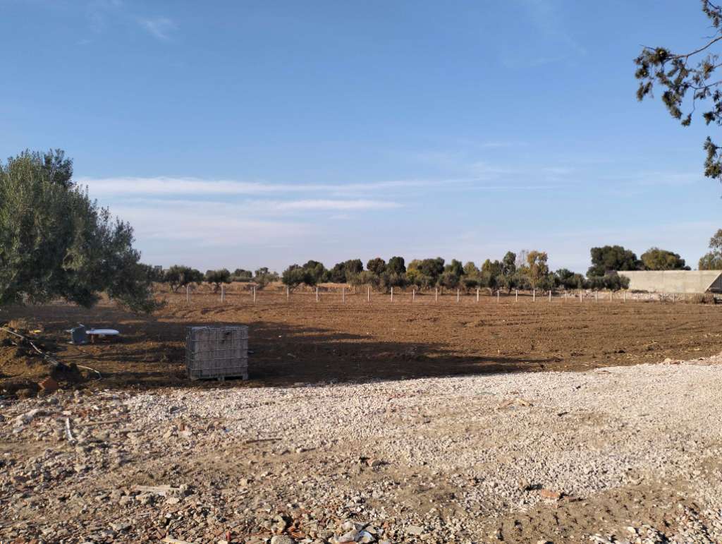 À vendre terrain situé a foundok Ejdid sur la route principale GP1 