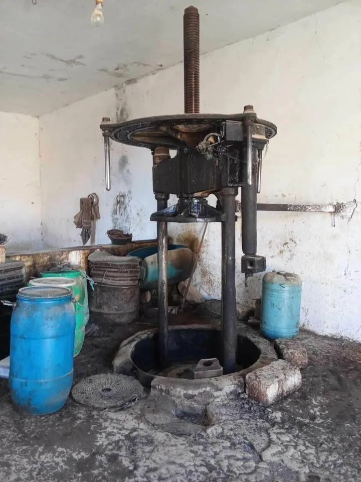 معصرة تقليدية للبيع