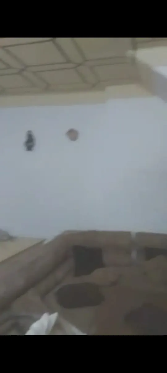 appartement 100 m
