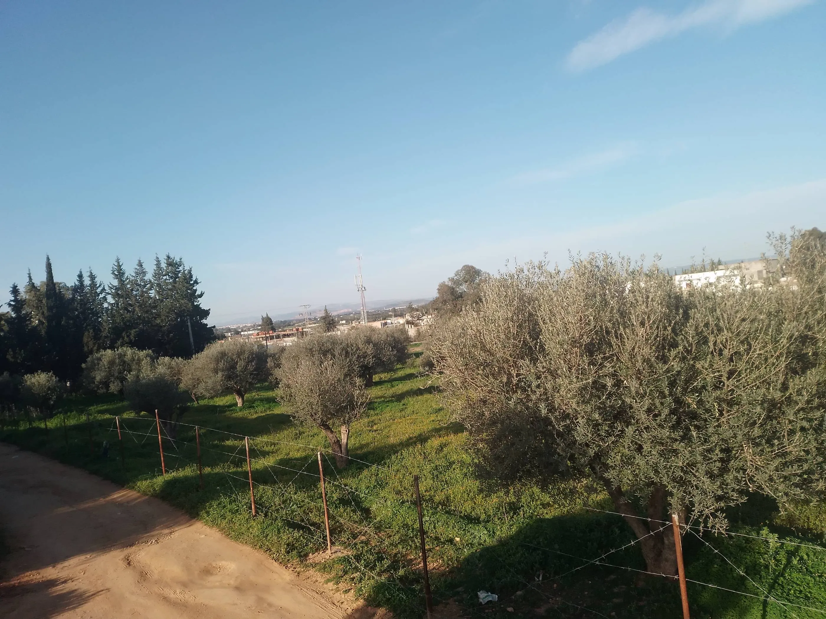 Terrain a vendre