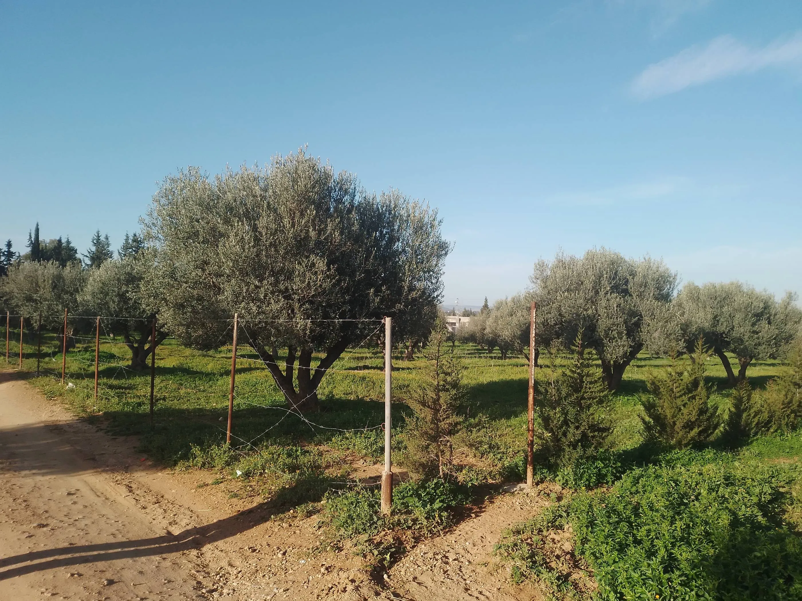 Terrain a vendre