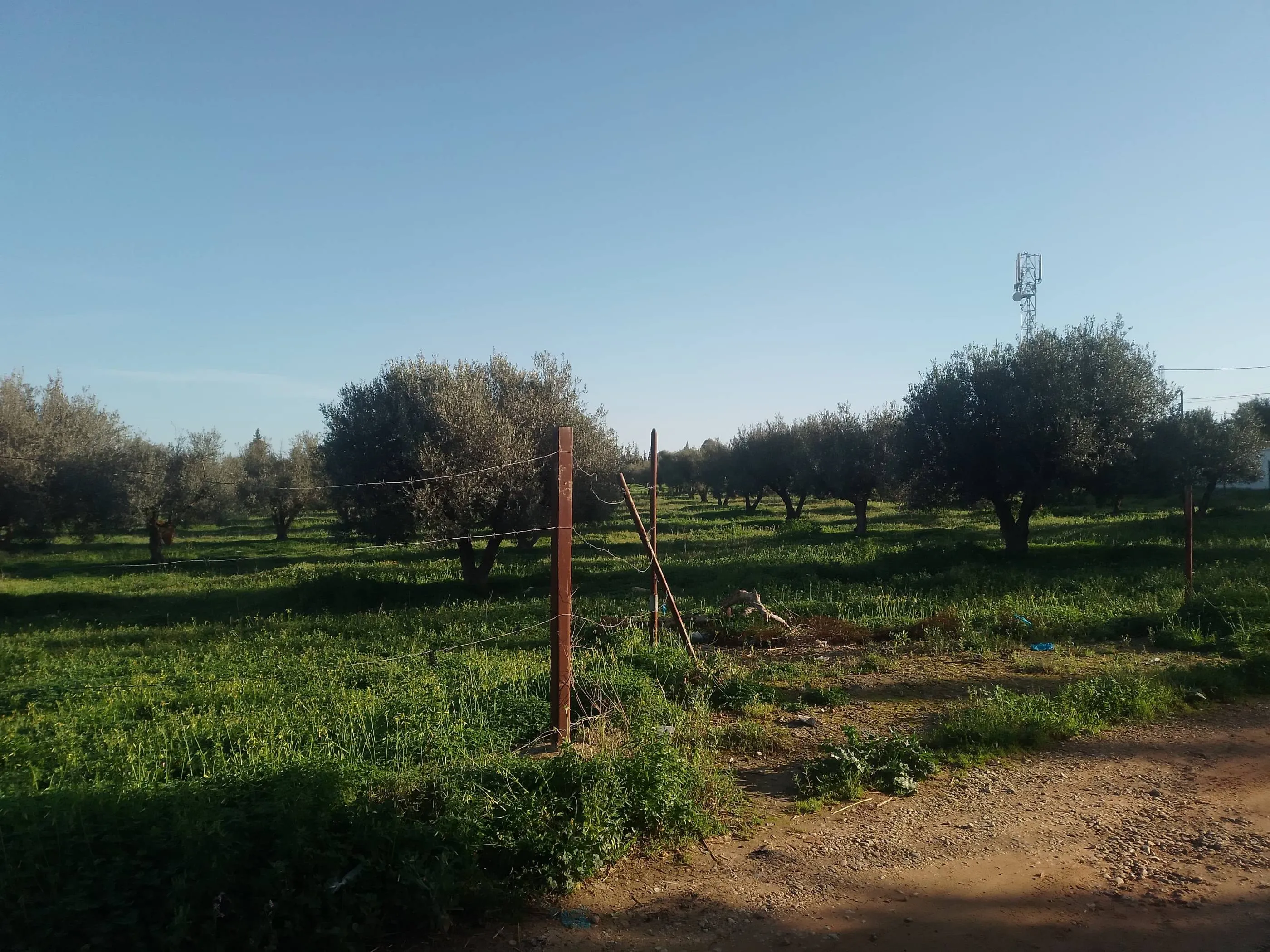 Terrain a vendre