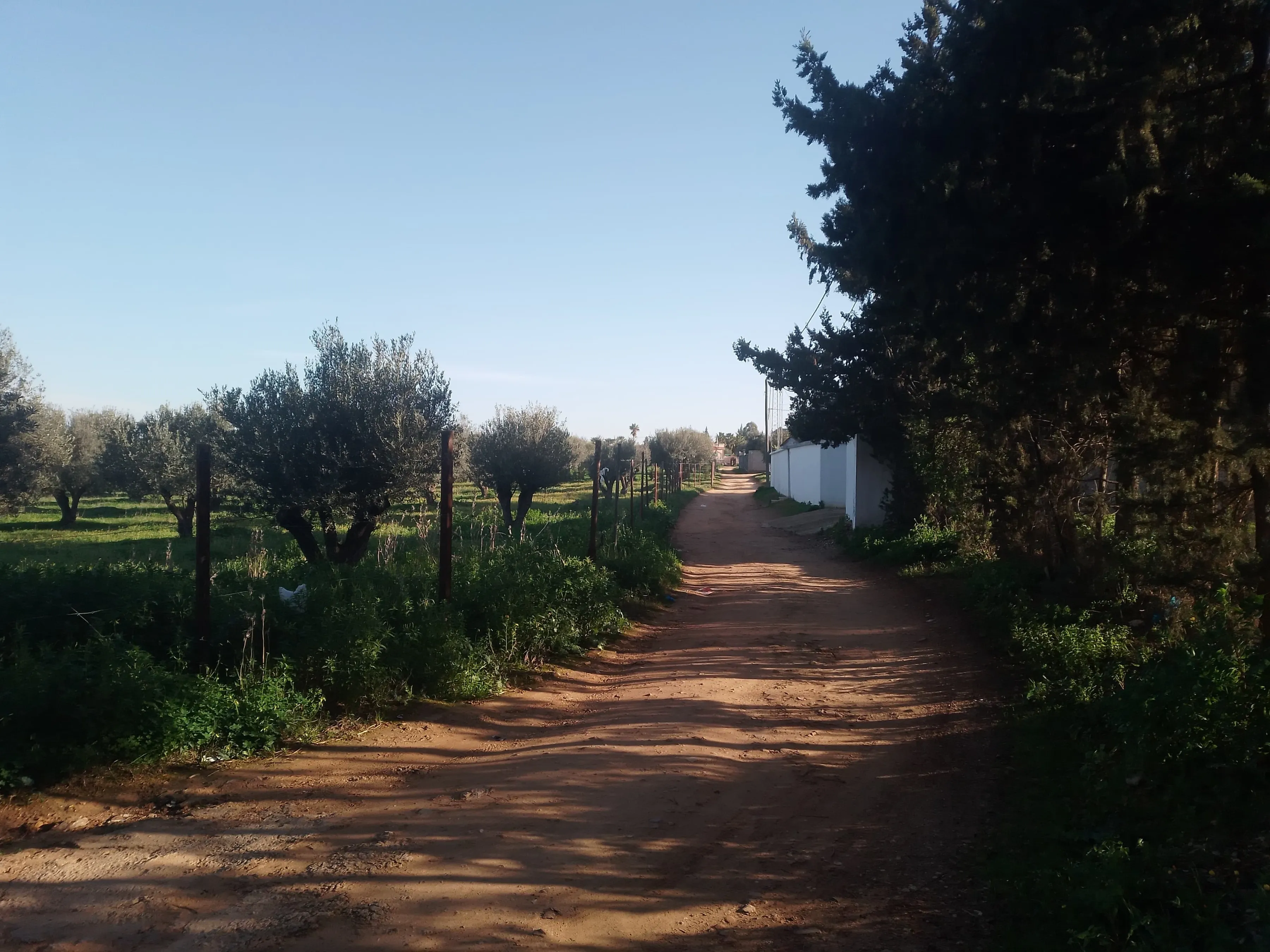 Terrain a vendre