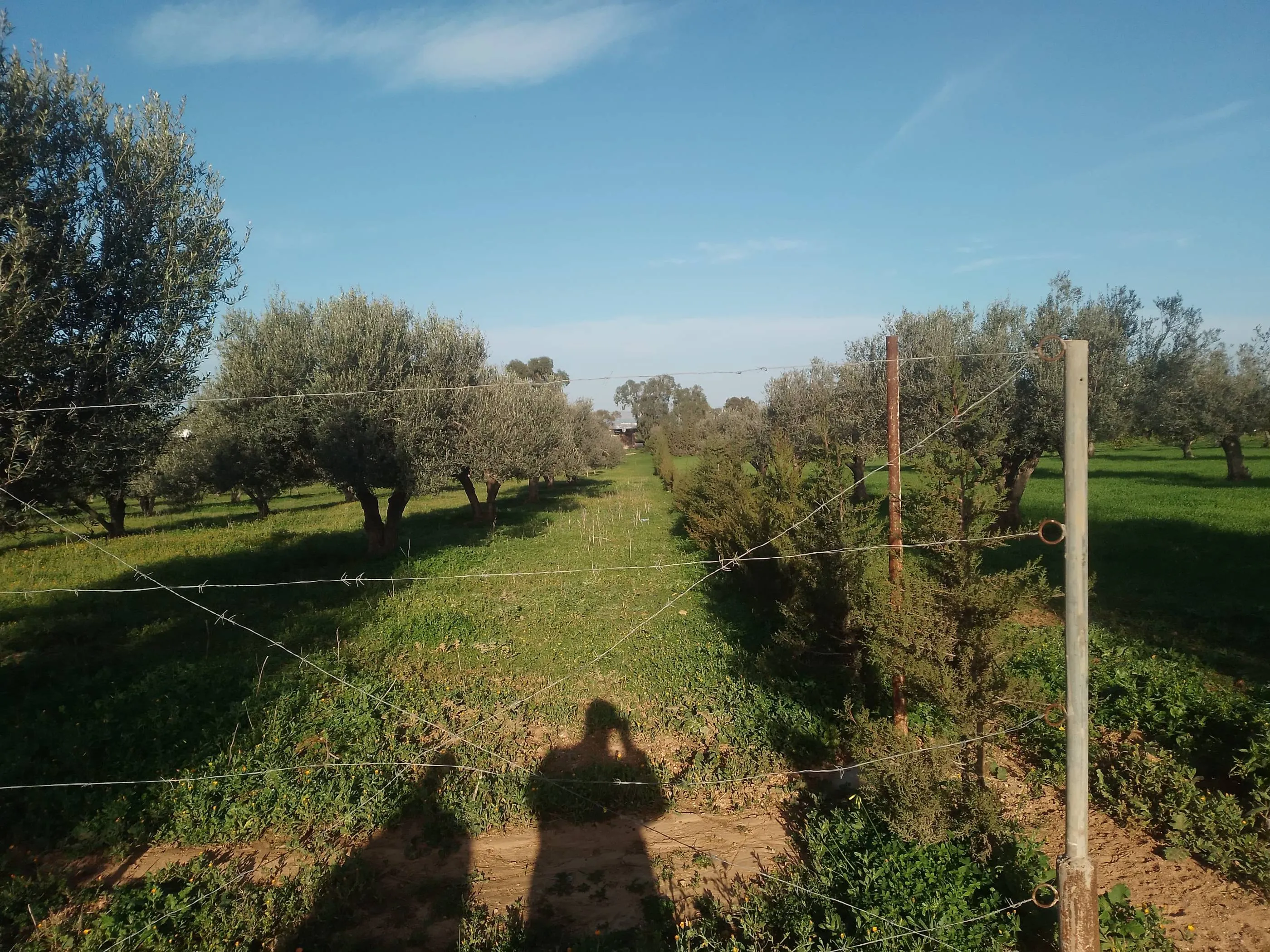 Terrain a vendre