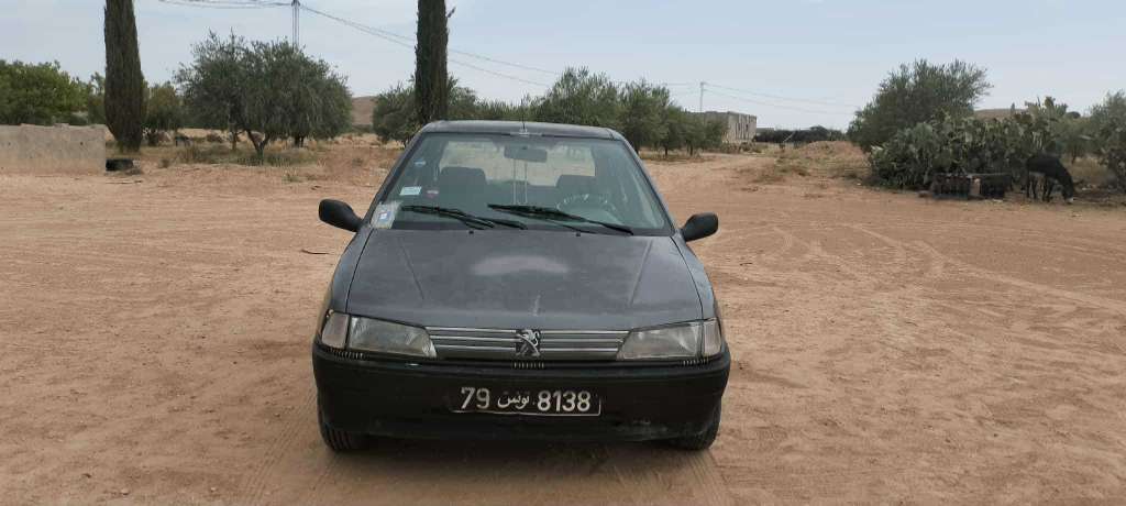 99.056.162 Peugeot 106