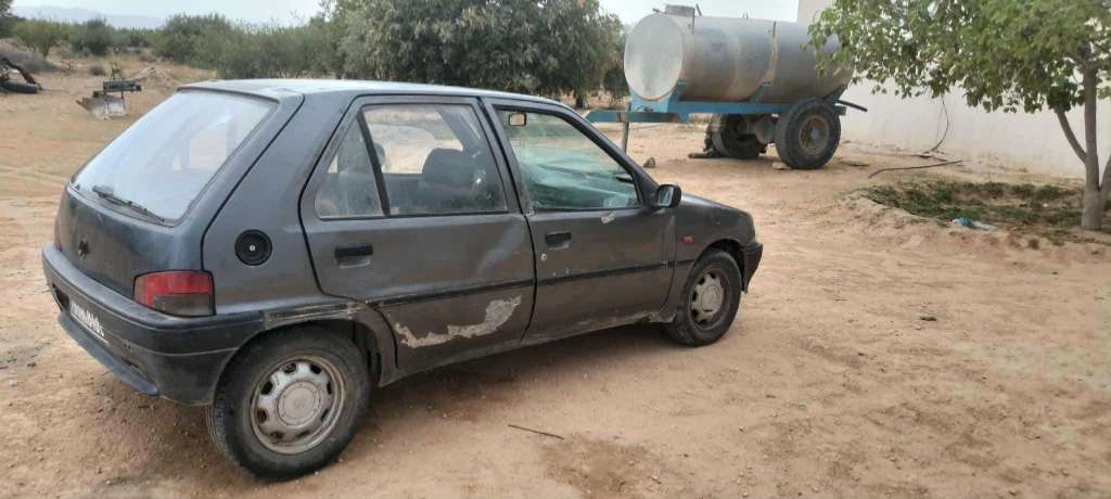 99.056.162 Peugeot 106