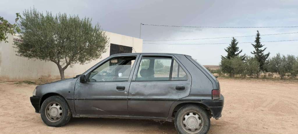 99.056.162 Peugeot 106