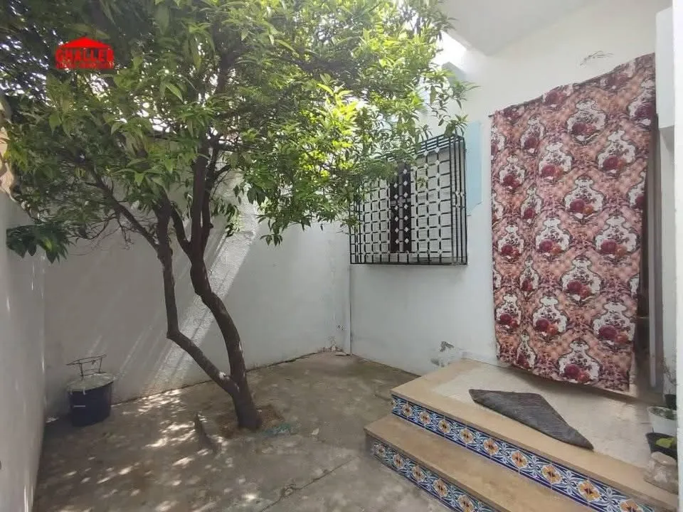 maison extensible 29730412
