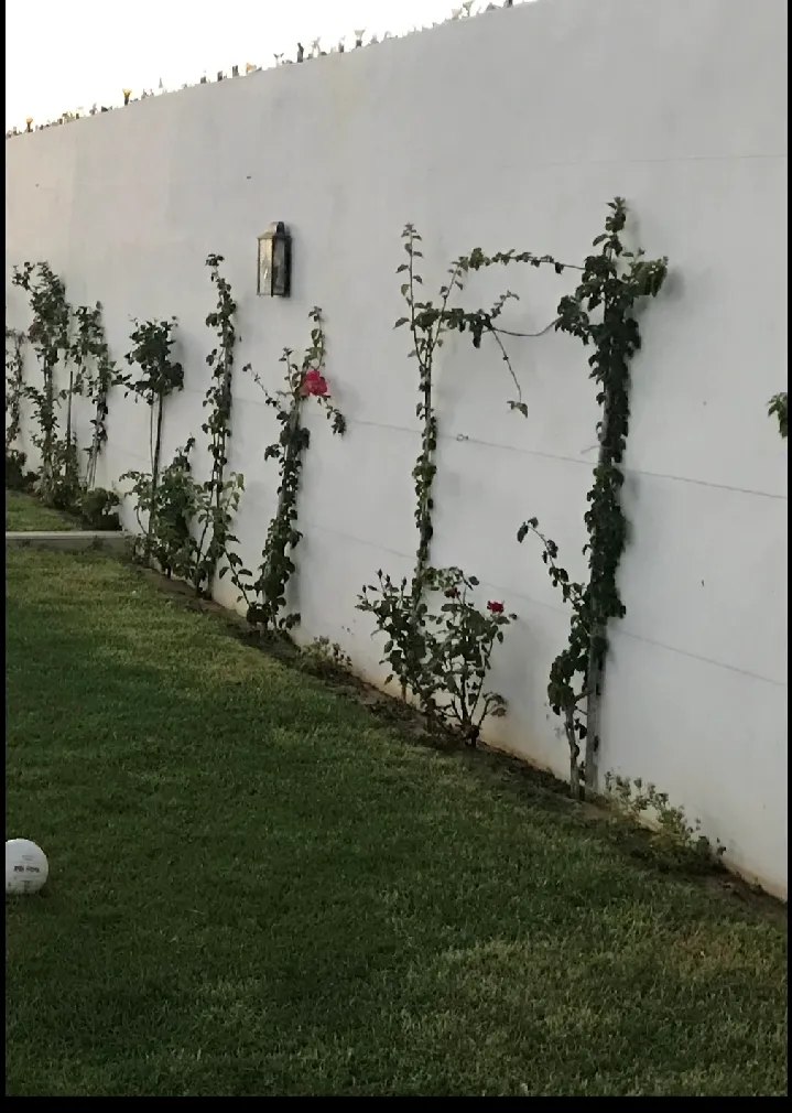 Terrain de rêve de 1000 m2 à 10' de la plage de Yasmine hammamet. 