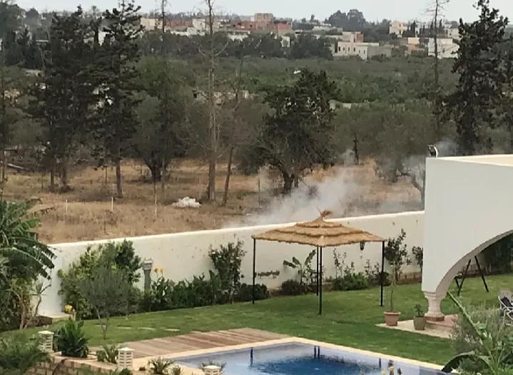 Terrain de rêve de 1000 m2 à 10' de la plage de Yasmine hammamet. 