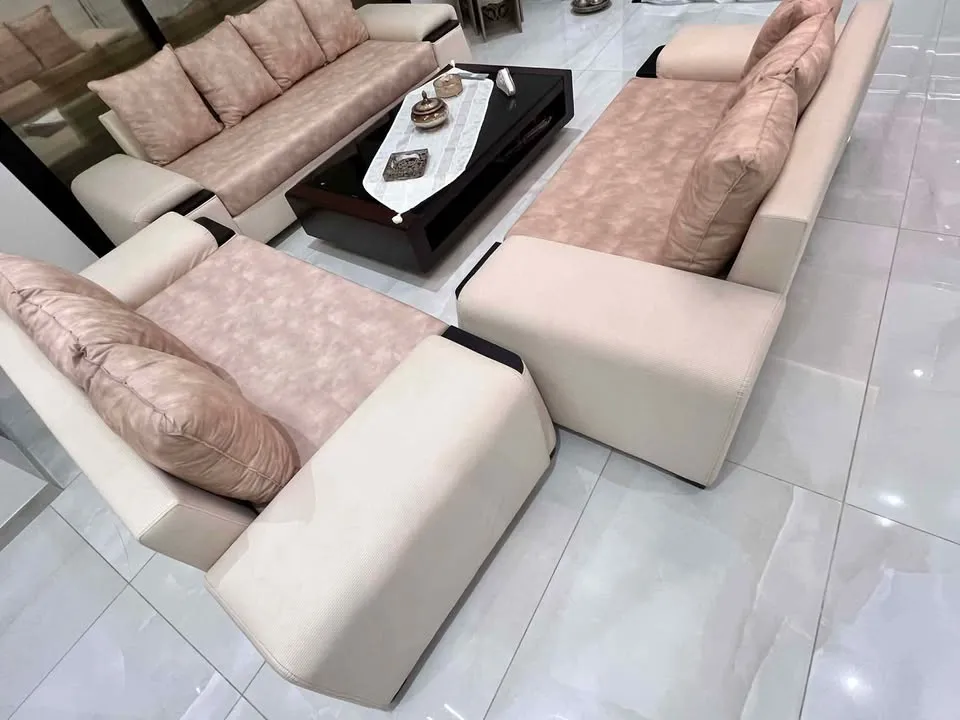salon comme Neuf